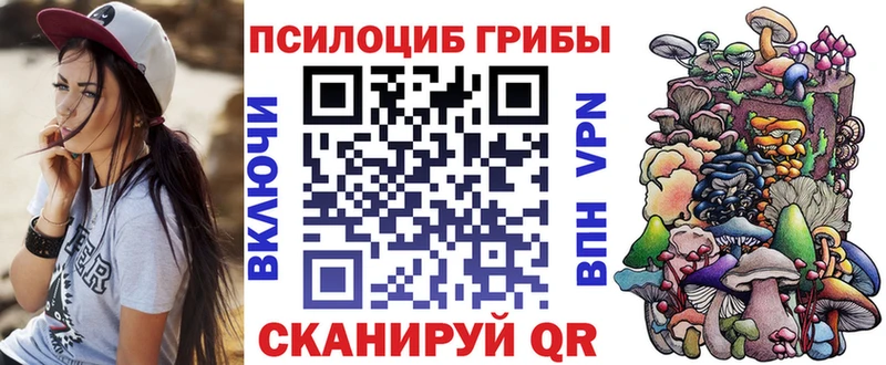 Галлюциногенные грибы Cubensis  Черноголовка 